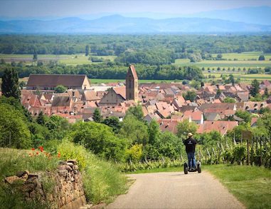 Segway à Eguisheim et dans le vignoble